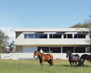 Foto Haus Lynch, Brig