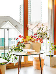 WIE WOLLEN WIR WOHNEN?