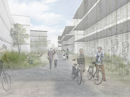 Wohnüberbauung Areal HGC, Herzogenbuchsee