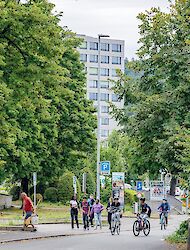 Bericht aus dem Henz-Areal, Suhr (Komplex Magazin 2025)