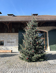 Weihnachtsfeier 2025