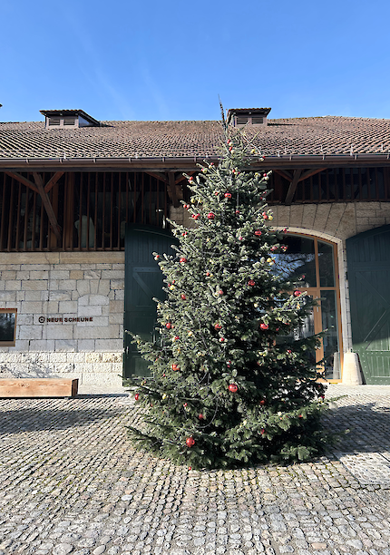 Weihnachtsfeier 2025