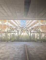 Siedlung Birs, Blick Richtung Baufeld C